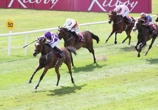 Magical (Galileo) winning the G2 Kilboy Estate Stakes at the Curragh