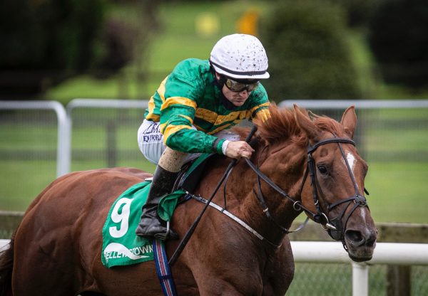 Barrington Court (Mastercraftsman) Winning A Bellewstown Maiden