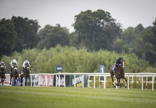 Goddess (Camelot) winning her maiden at Leopardstown