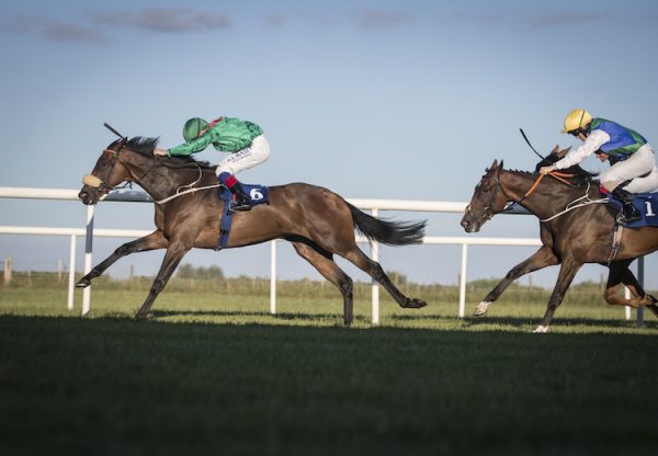 Kalaxana (Rock Of Gibraltar) winning the Lenebane Stakes (L) at Roscommon