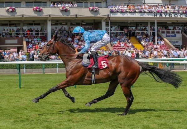 Jonah Jones (No Nay Never) winning a novice stakes at Haydock