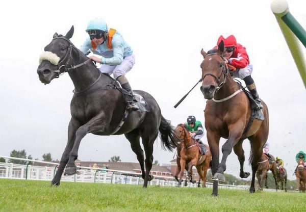 Beechwood Ella (No Nay Never) winning a novice stakes at Ayr