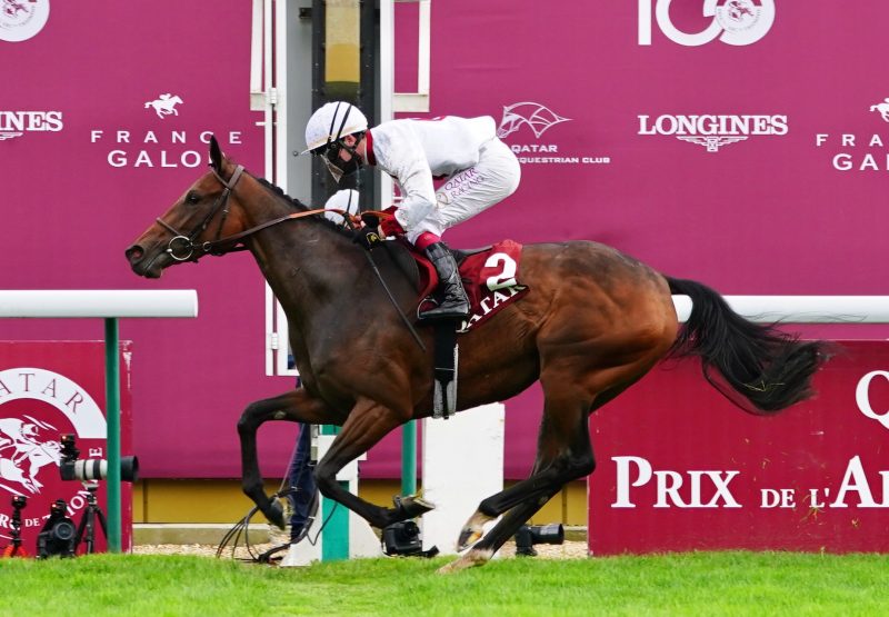 Zellie (Wootton Bassett) Wins The Group 1 Prix Marcel Boussac at ParisLongchamp