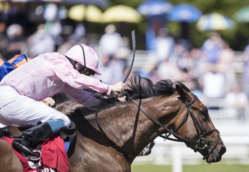 Santa Monica (Mastercraftsman) winning the G2 Dance Smartly Stakes at Woodbine