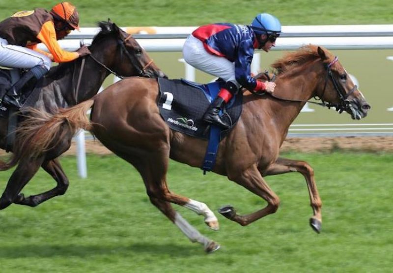 Ashiana (Mastercraftsman) winning the G2 Stutenpreis at Baden Baden