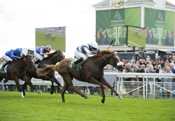 Ulysses (Galileo) winning the Juddmonte International (Gr.1) at York