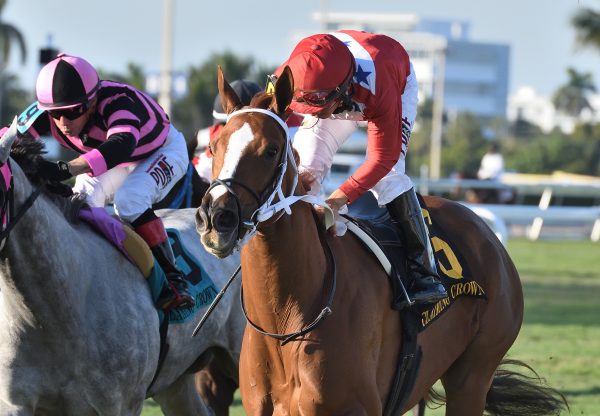 Lucky Long (Lookin At Lucjy) winning the Crown Tiara at Gulfstream Park