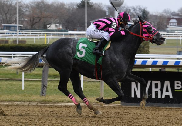 Felix In Fabula (Tale Of The Cat) Winning Aqueduct Allowance