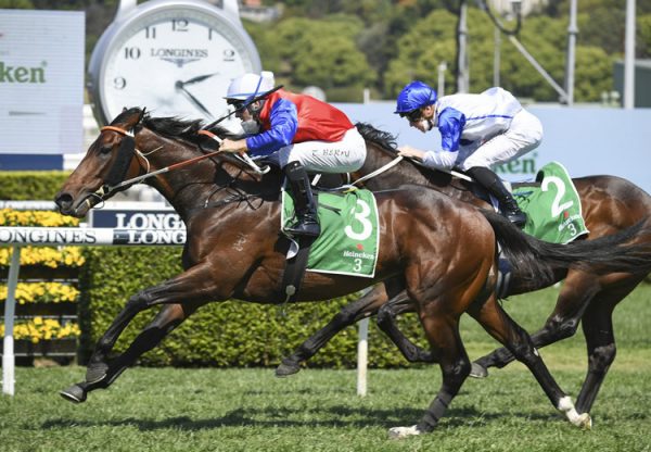 Hilal (Fastnet Rock) winning the Gr.2 Stan Fox Stakes at Randwick