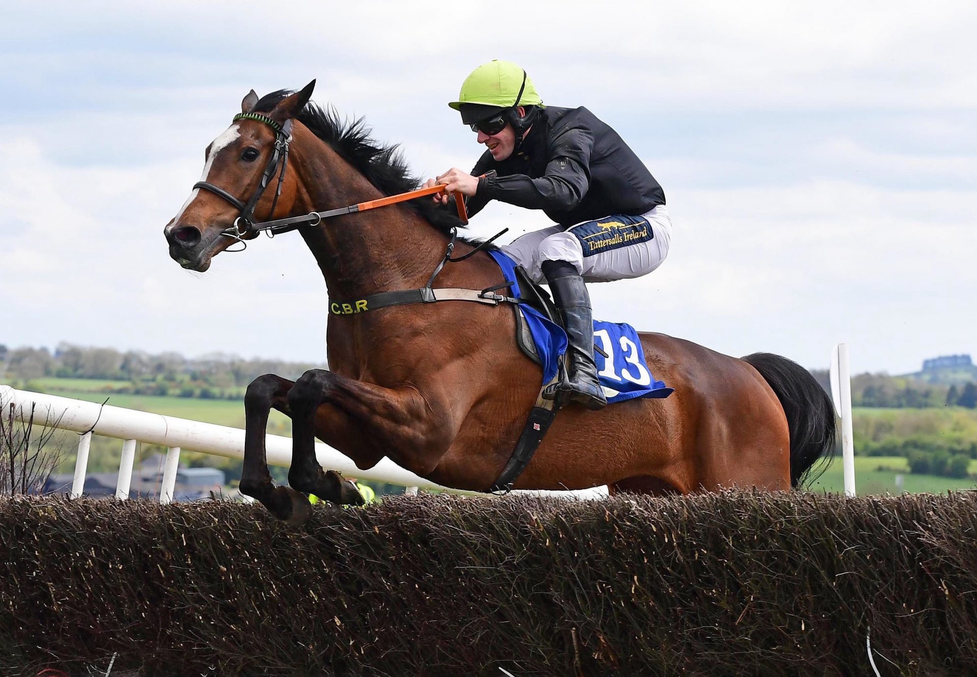 Walks In June (Walk in the Park) Wins The 4 Yo Maiden At Dawstown