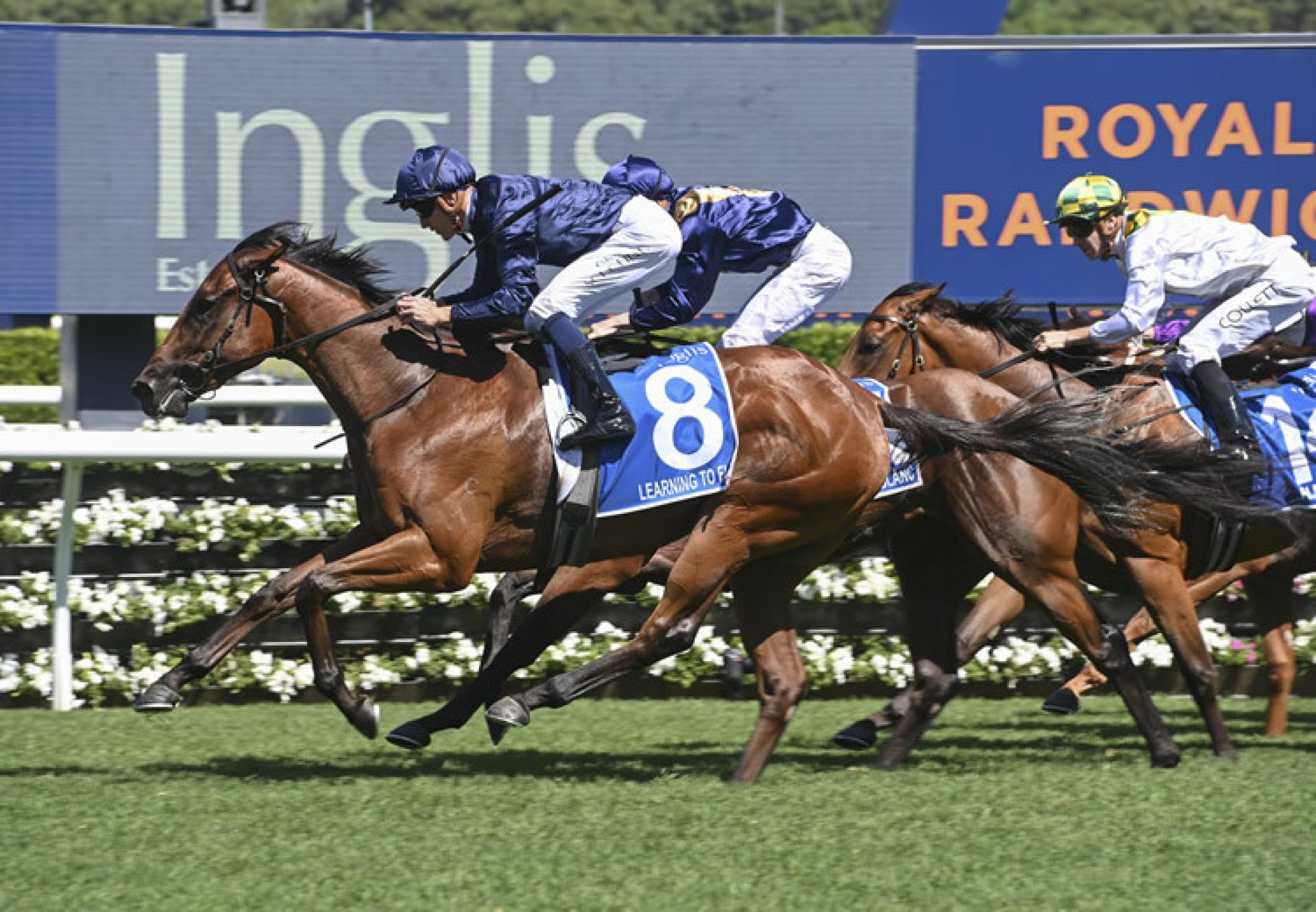 Learning To Fly (Justify) wins the Inglis Millennium-L.R.