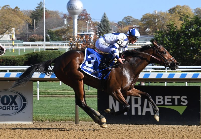 Highway Harmony (Mo Town) Wins Aqueduct MSW