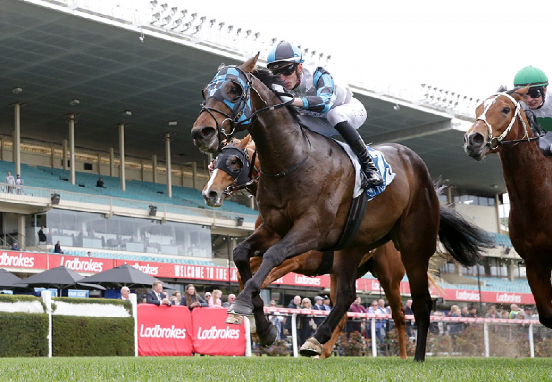 Scentify (Justify) winning at Moonee Valley