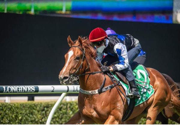 Drisana (Merchant Navy) winning a trial at Randwick