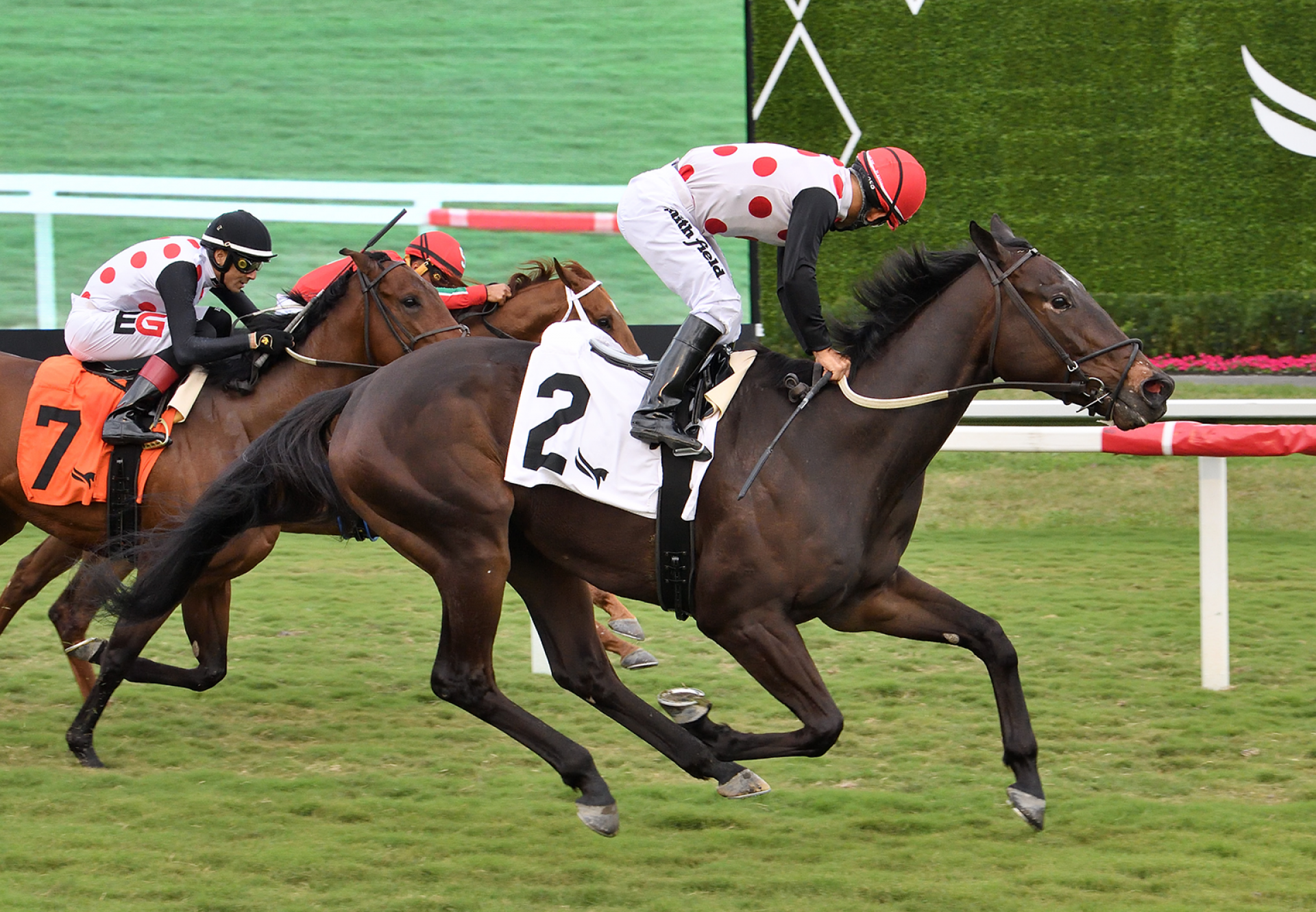 Forever Souper (American Pharoah) wins the Sunshine Turf Stakes at Gulfstream Park