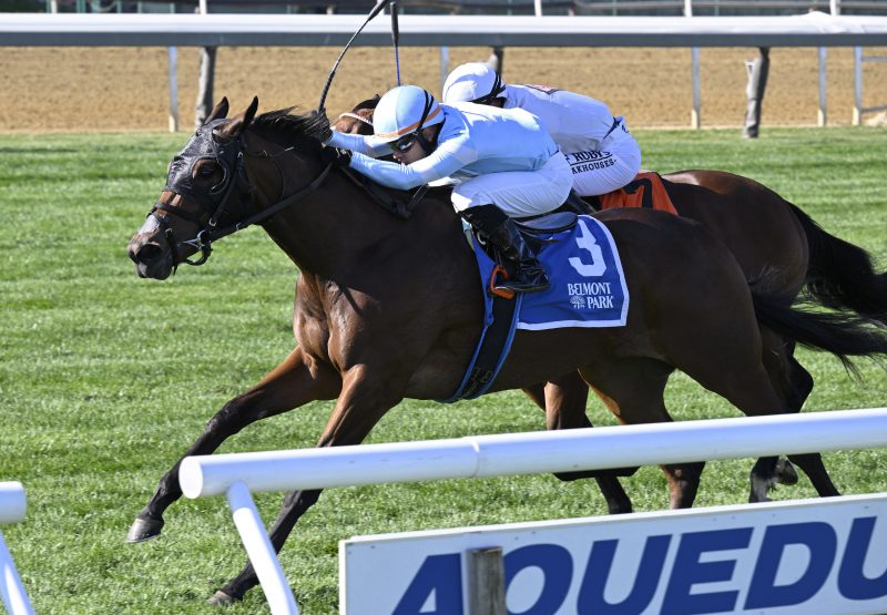 American Apple (American Pharoah) wins Gr.3 Matron Stakes at Belmont @Aqueduct