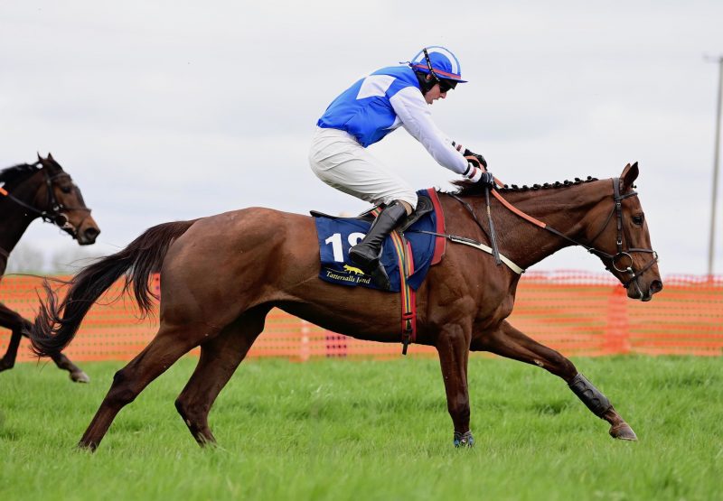 Lady Jago (Getaway) Wins The 4YO Mares Maiden at Rathcannon