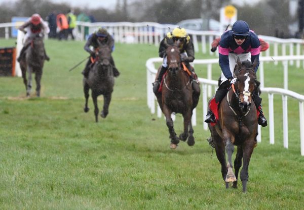 Demandrivingdouvan (Walk In The Park) Wins The Maiden Hurdle At Wexford