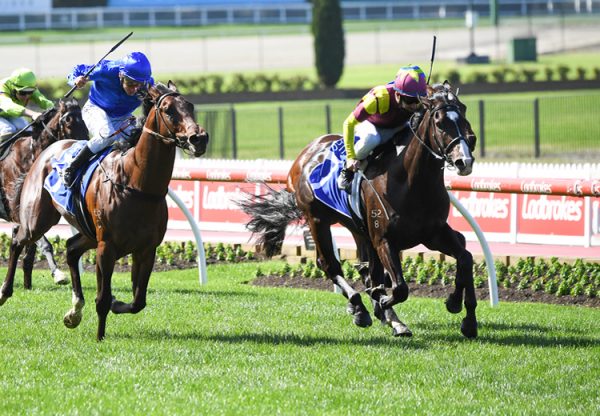 Mynumerouno (Vancouver) winning at Moonee Valley