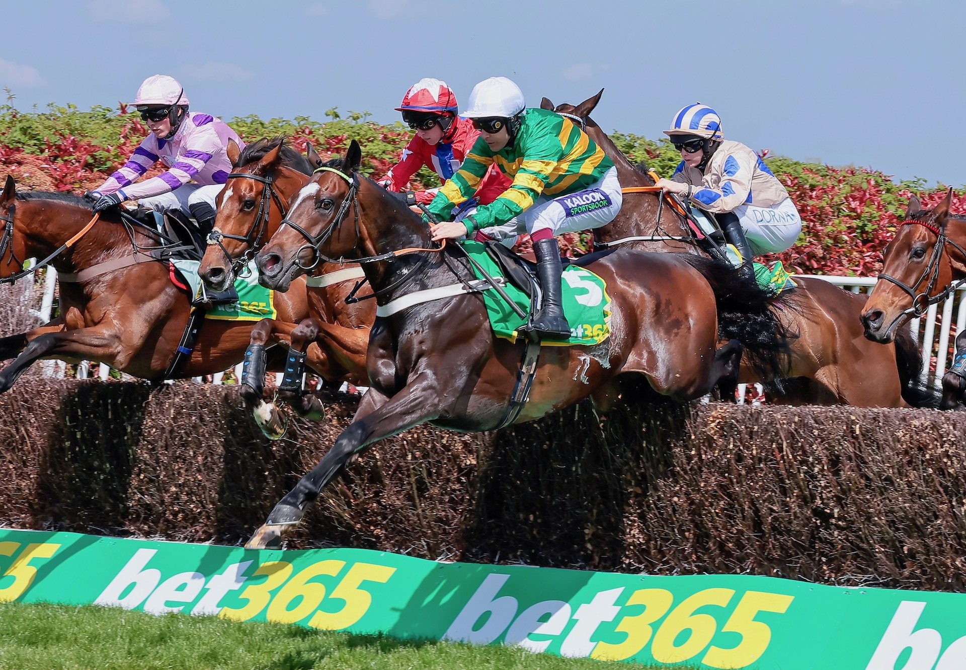 Jonbon (Walk In The Park) Wins The Grade 1 Celebration Chase at Sandown