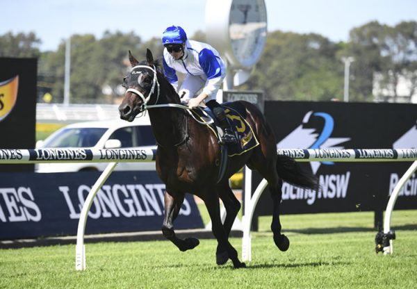 Coastwatch (Fastnet Rock) winning the Gr.3 Ming Dynasty Stakes at Kembla Grange