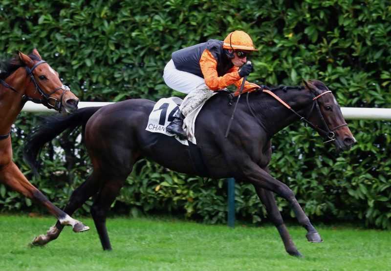 Exxtra (Starspangledbanner) Wins The Group 3 Prix De Seine Et Oise at Chantilly