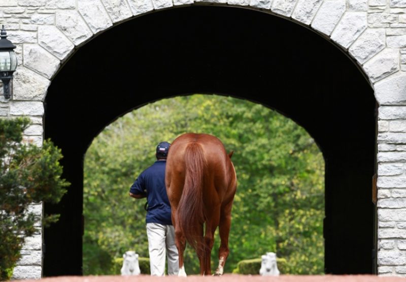 Munnings walking away