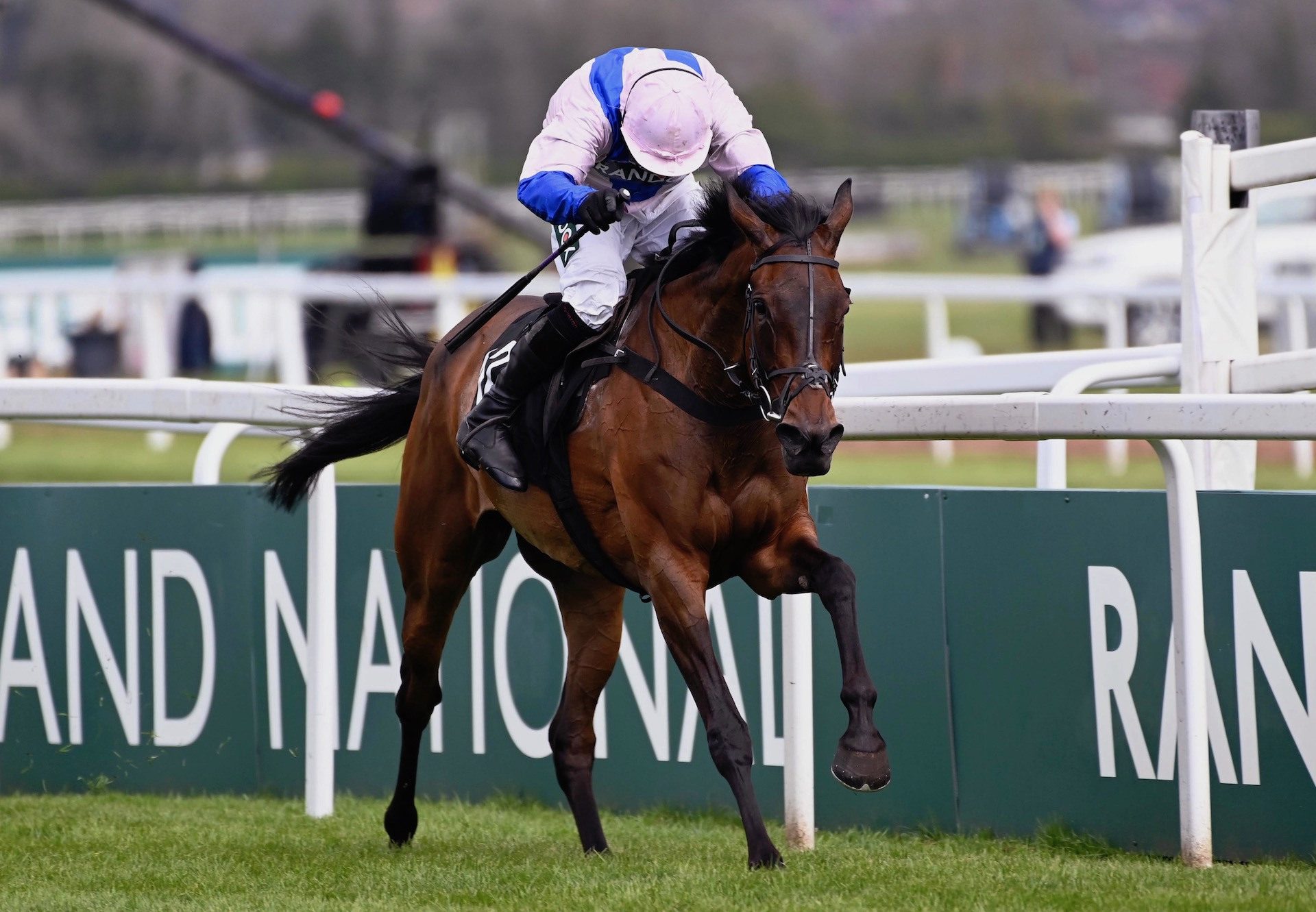 West Balboa (Yeats) Wins The Grade 3 Hurdle At Aintree