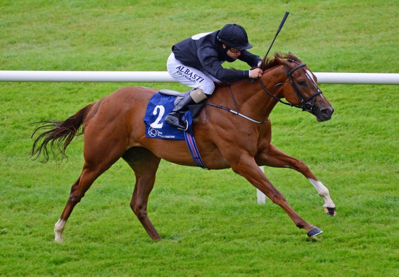 Millisle (Starspangledbanner) Wins The Gr.3 Ballyogan Stakes at Naas