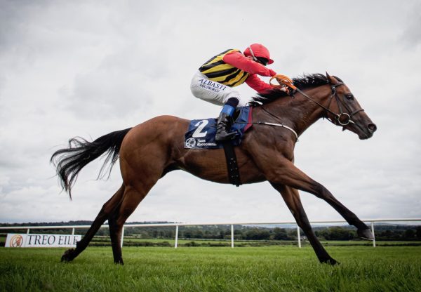 Thunder Eclipse (Holy Roman Emperor) Wins His Maiden Impressively At Naas