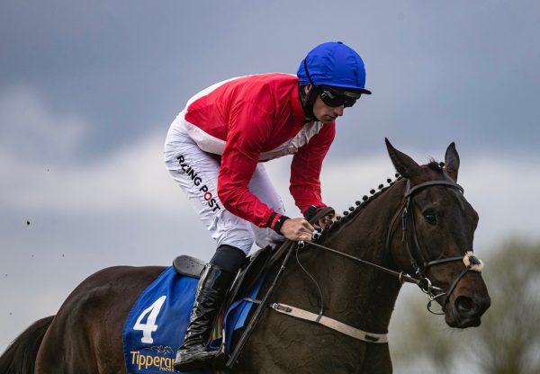 Classic Getaway (Getaway) Wins The Bumper At Tipperary