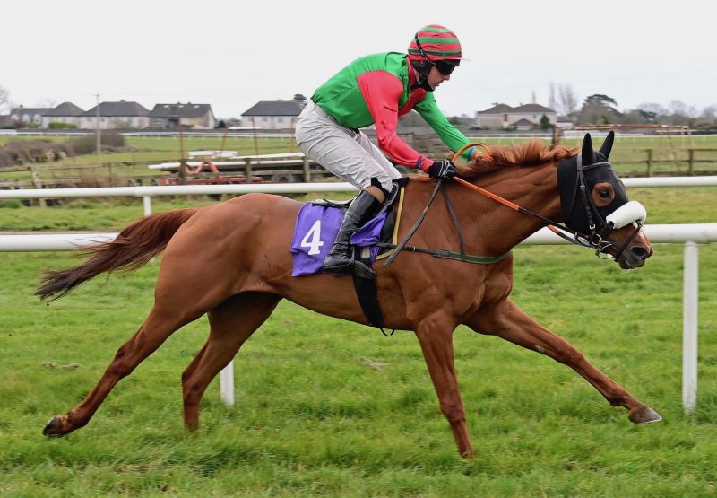 Henry Box Brown (Getaway) Wins On Debut At Wexford