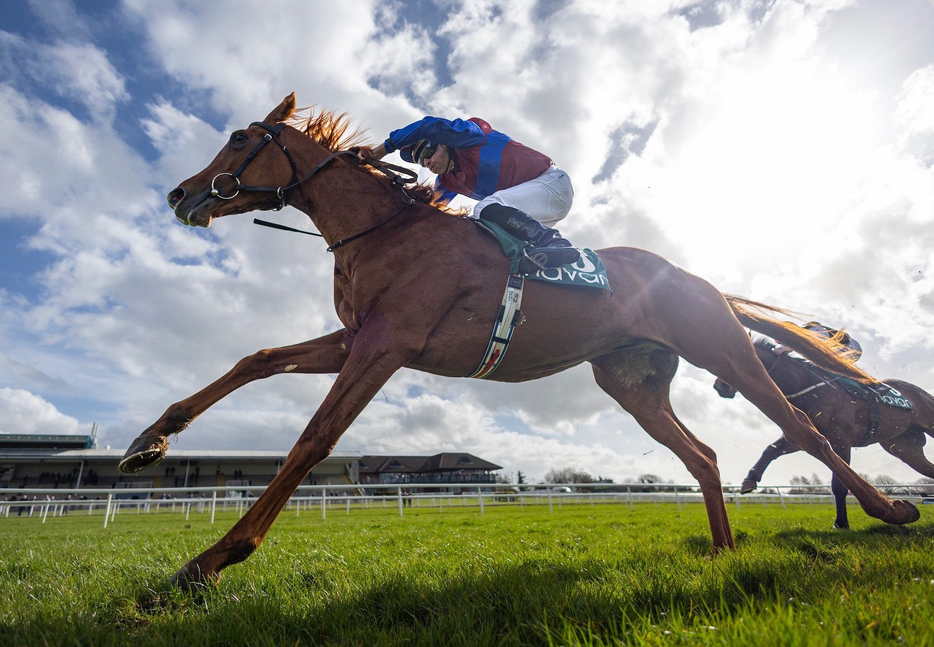 Gooloogong (Australia) Wins His Maiden At Navan