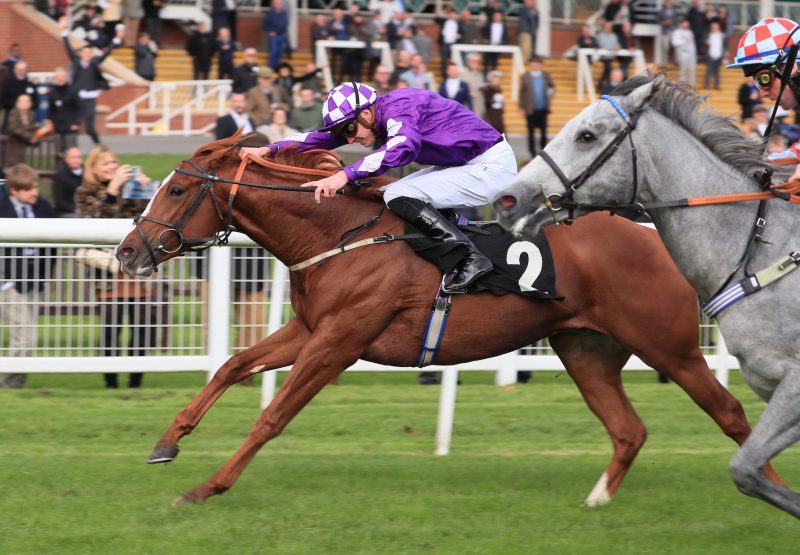 Bushfire (Australia) Gains His Maiden Win At Newbury