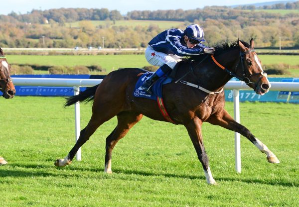 Cavallo Pazzo (Starspangledbanner) Wins His Maiden At Naas