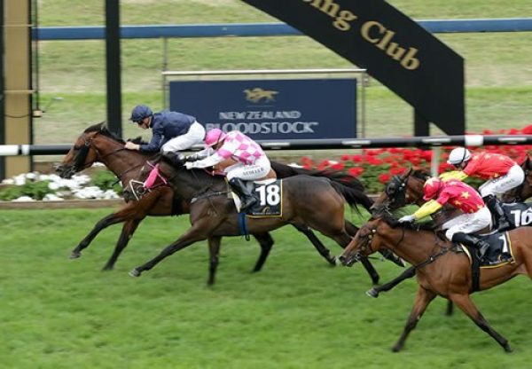 Long Leaf (Fastnet Rock) winning the $1million Karaka 3YO Classic at Ellerslie