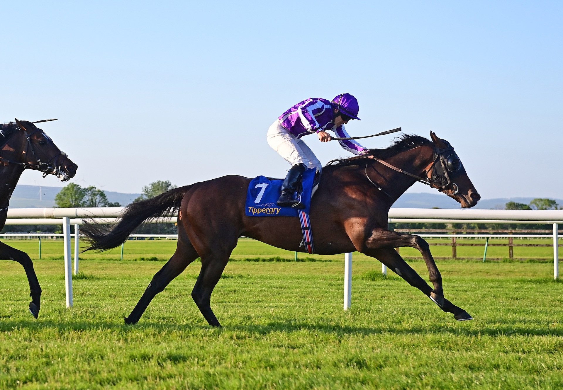 Cape Bridgewater (Australia) Wins His Maiden At Tipperary