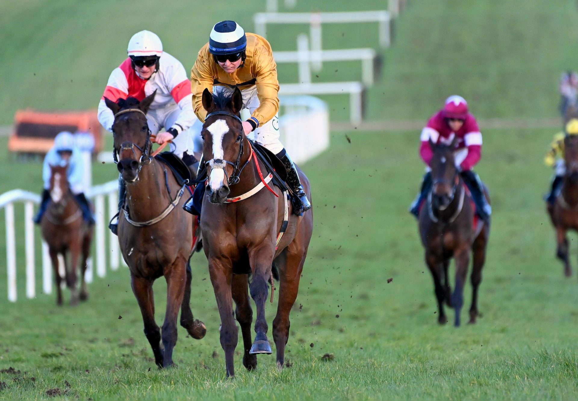 Blaze The Way (Getway) Wins The Bumper At Thurles