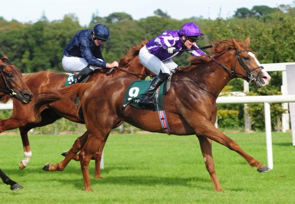 Norway (Galileo) Wins At Gr.3 Paddy Power Betting Shops Stakes at Leopardstown