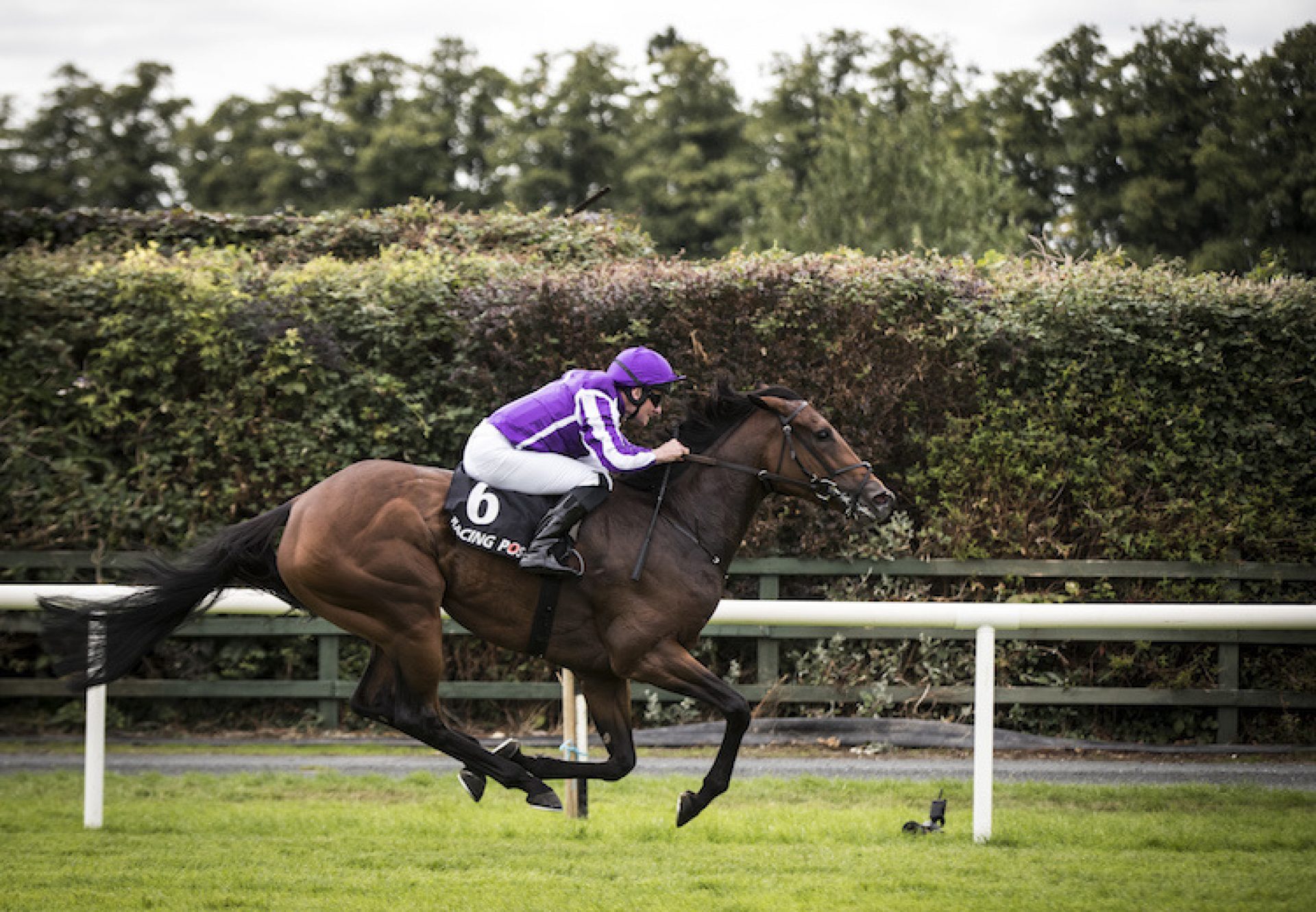 I Can Fly (Fastnet Rock) winning the Listed Vincent O'Brien Ruby Stakes at Killarney