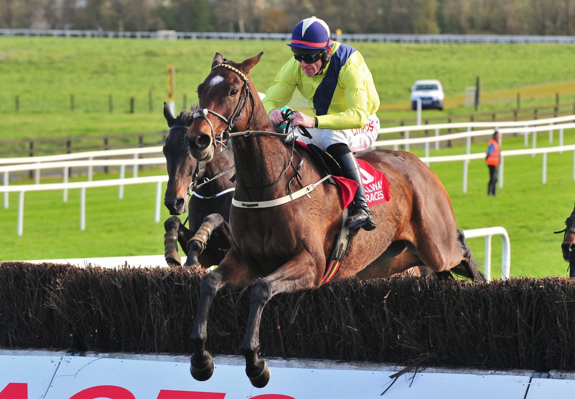 Mount Pelier (Milan) winning over fences at Galway