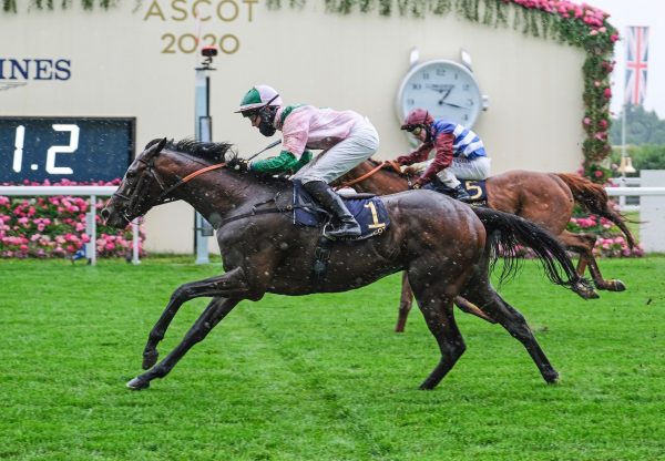 Highland Chief (Gleneagles) Wins the Golden Gates handicap At Royal Ascot