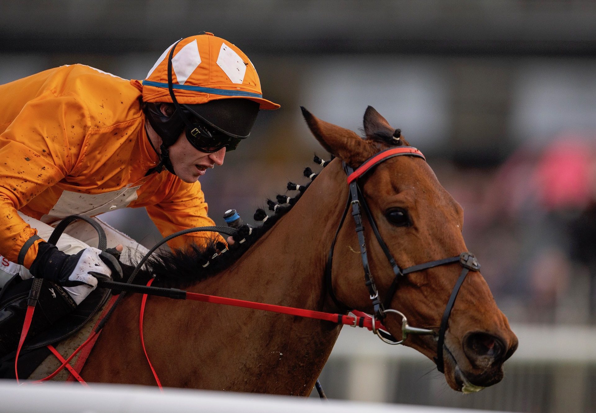 Big Dee (Vadamos) Wins The Bumper At Down Royal