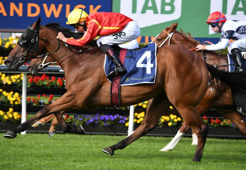 Park Avenue (Fastnet Rock) winning at Randwick