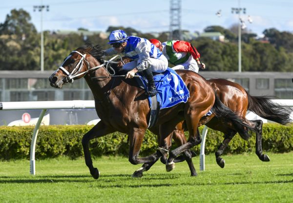 Cape Breton (Vancouver) winning at Canterbury