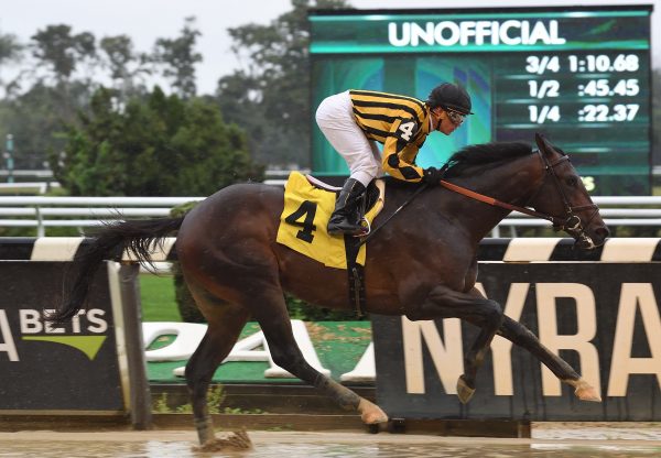 Looking At Bikinis (Lookin At Lucky) winning a maiden at Belmont Park