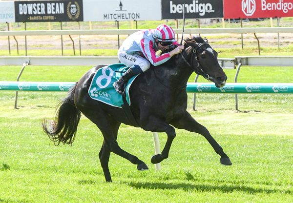 Miss Tainui (Vancouver) winning at Bendigo