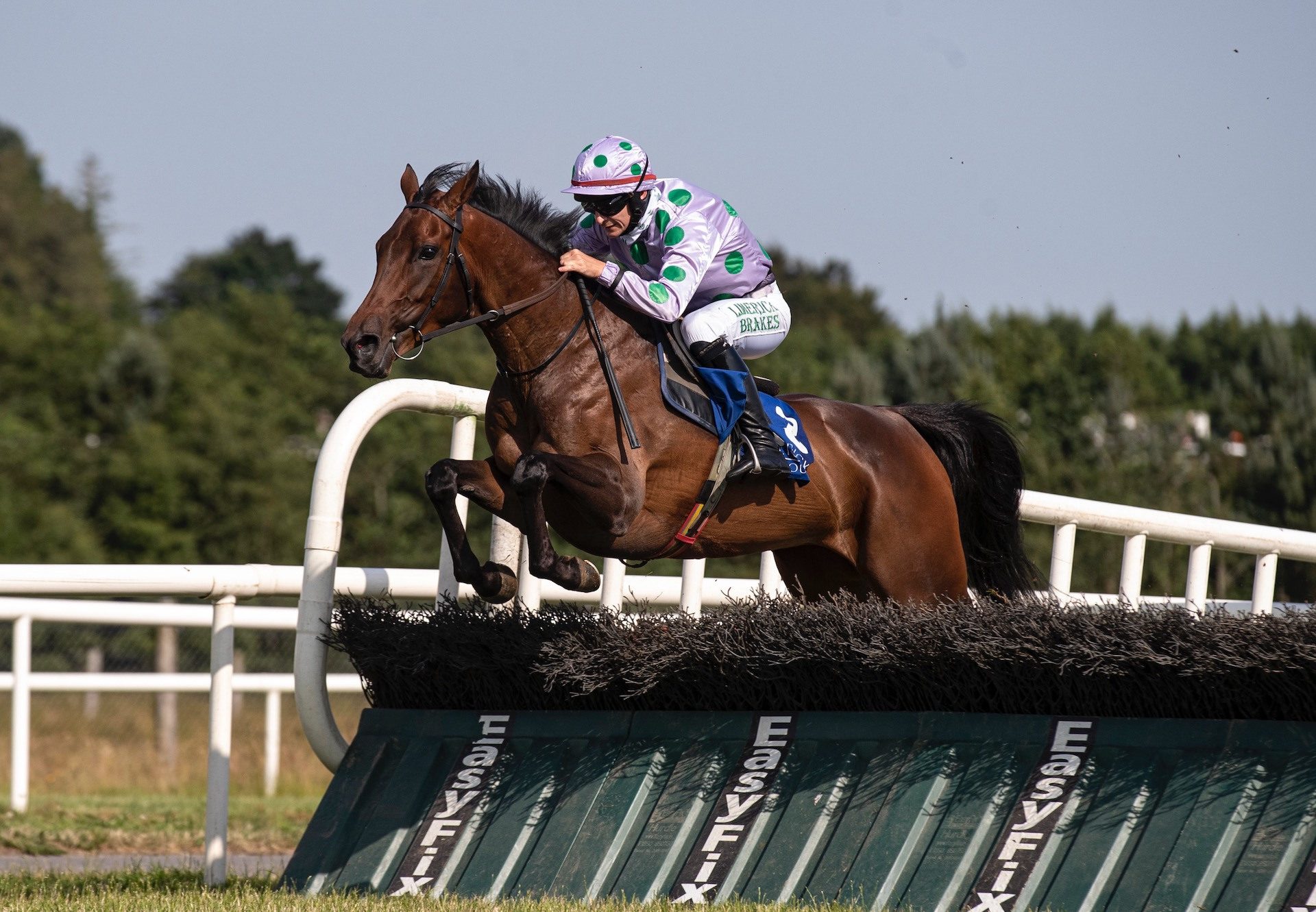 Whosgotyanow (Getaway) Wins The Mares Rated Novice Hurdle At Limerick