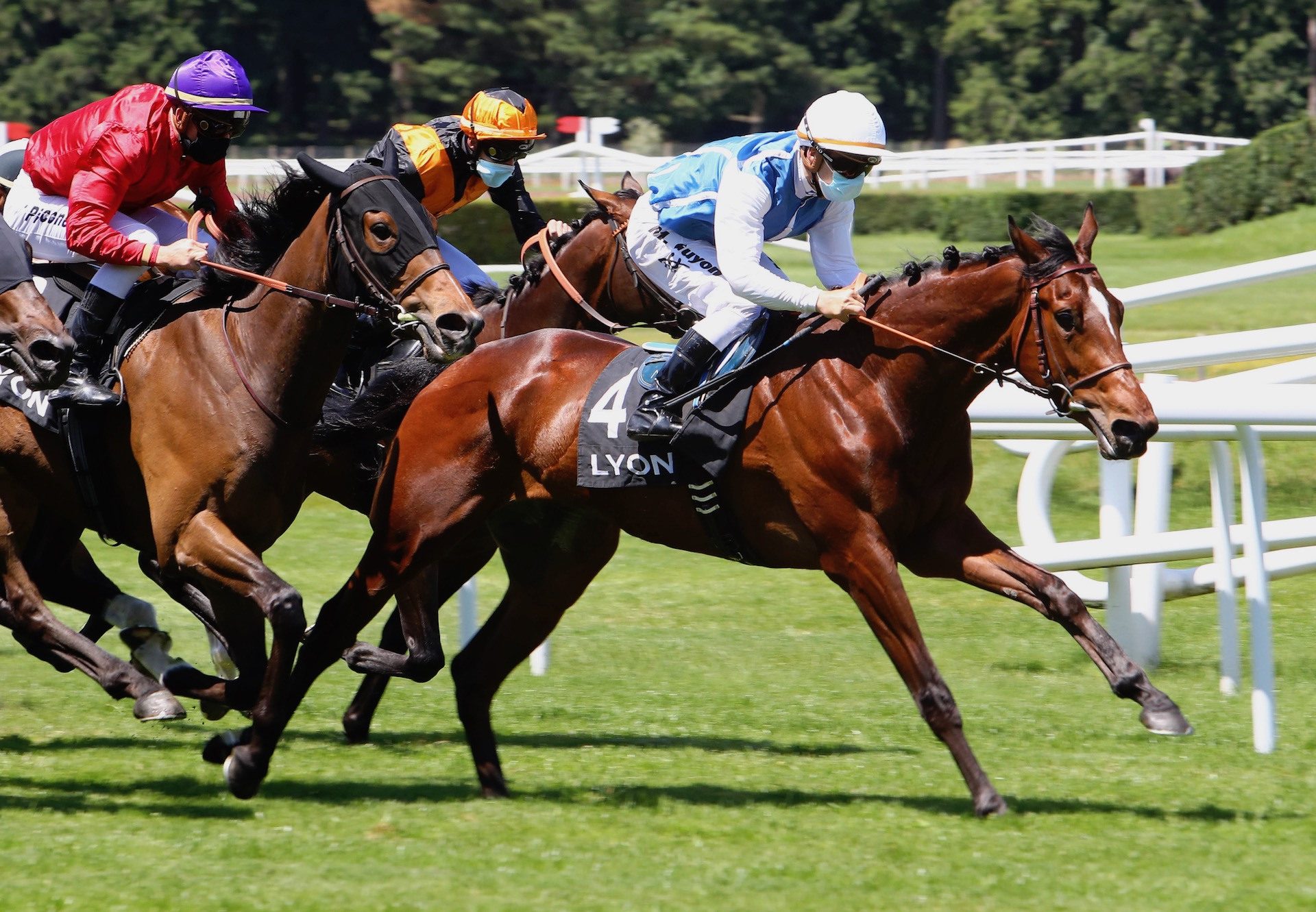 Suffrage (Mastercraftsman) Wins At Lyon