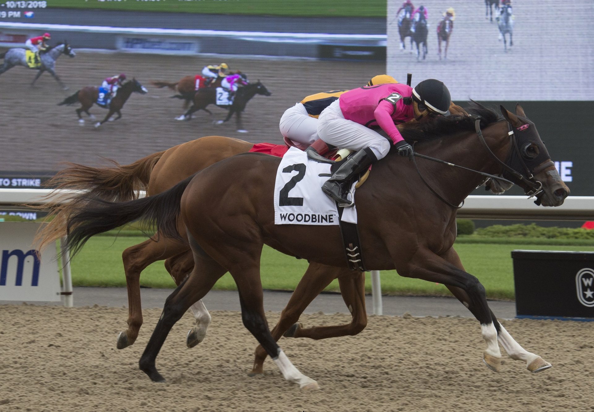 Lookin To Strike (Lookin At Lucky) winning the G3 Ontario Derby at Woodbine